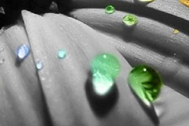 640x1136 Abstract Black Shapes Iphone 5 Wallpapers Pictures