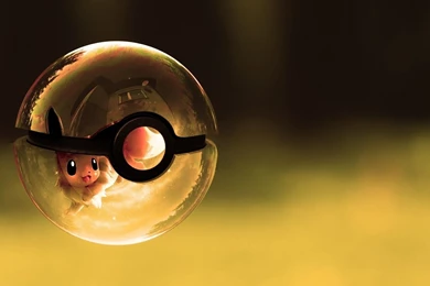 Pokemon Wallpapers Hd   1969202