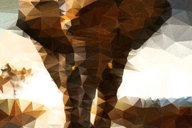 Elephant Polygon Illustration HD Desktop Wallpapers : Widescreen ...