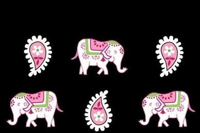 Elephant Phone Wallpapers On Pinterest