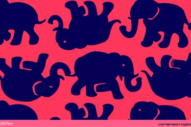Elephant Print Iphone Wallpapers
