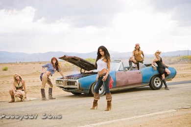 Music: Pussycat Dolls, Desktop Wallpapers Nr. 34880