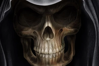 Excellent Skull Wallpapers