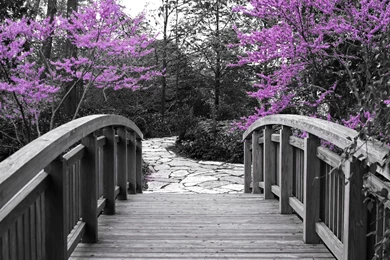 Spring Season Wallpapers   Crazy Frankenstein