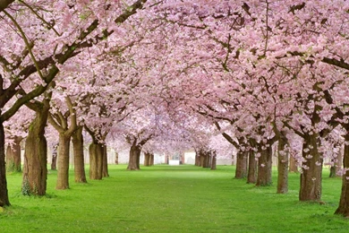 Beautiful Spring Images Download