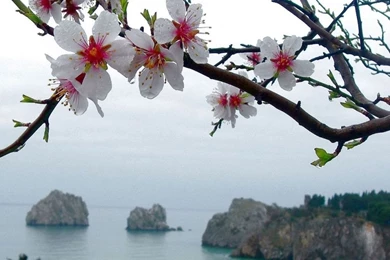 Spring Season HD Desktop Wallpapers : Widescreen : High Definition ...