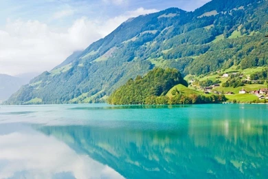 Apple Neon Ipad Wallpapers Hd Free Download Backgrounds Theme Ipad 2 ...