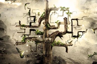 3D Abstract Tree Backgrounds HD Wallpapers.jpg