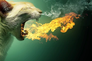 Diagonal Colorful Wallpapers HD Images