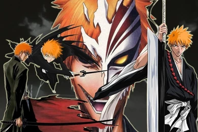 Animasi: Bleach Anime