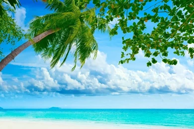 Tropical Beach Resorts HD Desktop Wallpapers : Widescreen : High ...