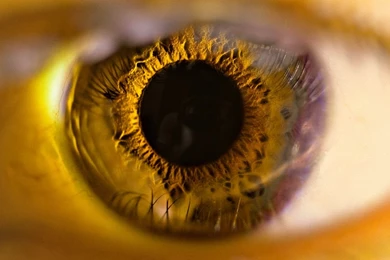 Free Eye Close up Wallpapers By Gabrielmeono On DeviantArt