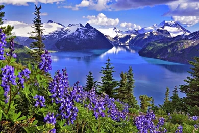 Latest Nature Wallpapers 2015 HD Wallpapers Cave