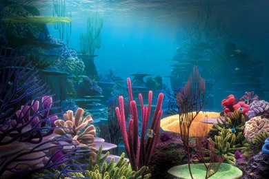 Aquarium Backgrounds Wallpapers