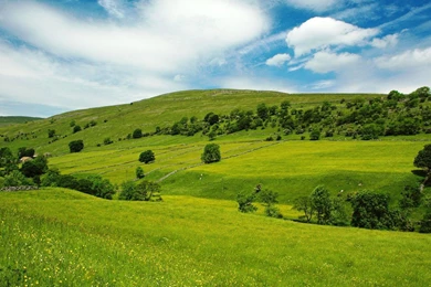 Welsh Prairie Hd Wallpapers 1920x1200 Windows Hd Wallpaper