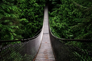 1920X1080 Wallpapers 21   Best Wallpapers Collection