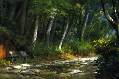 Nature Wallpapers Hd 12512 HD Wallpapers Expert