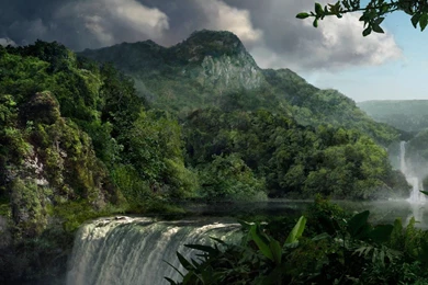 Jungle 1920X1080 Wallpapers » WallDevil Best Free HD Desktop And ...