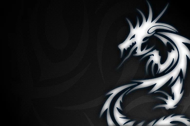 Cool Skull Wallpapers Best HD Desktop Wallpapers 1080p HD Wallpapers