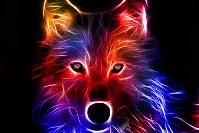 Light Effect Wolf HD Wallpapers