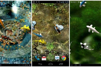 Koi free live wallpaper.jpg