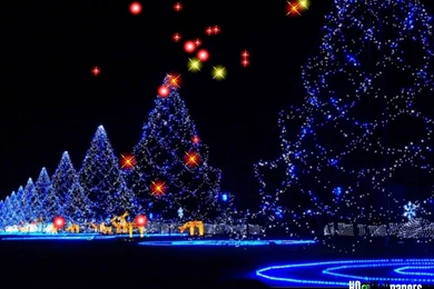 Live Christmas Wallpapers Free