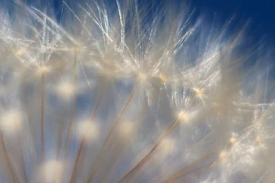 Ubuntu Explore: Ubuntu: How To Set Up Desktop Wallpapers Slideshow