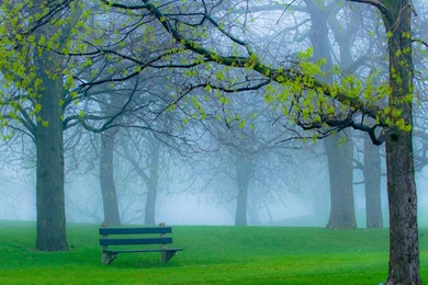 Good Morning Wallpapers HD