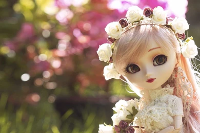 Cute, Miscellanea, Doll, Barbie, Blonde, Fields, Hat, Hd, Wallpapers