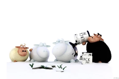 Funny Sheep Wallpapers   173034