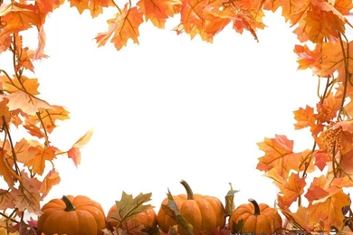 Pumpkins With Fall Leaves – Windows 10 Wallpapers