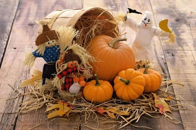 Fall Pumpkin Wallpapers Hd