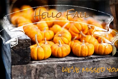 Did You Know? – Kousouris Bros. Produce