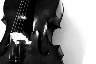 Cello Wallpapers   Wallpapers Cave