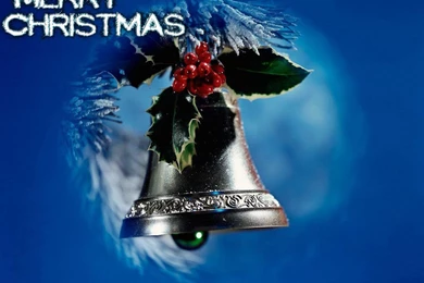 Valentine's Day Roses: Merry Christmas 2011 Greetings, XMass Card ...