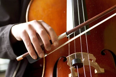 2 Cello HD Wallpapers