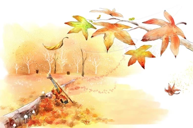 Cello In The Fall Wallpapers   Free Wide HD Wallpapers