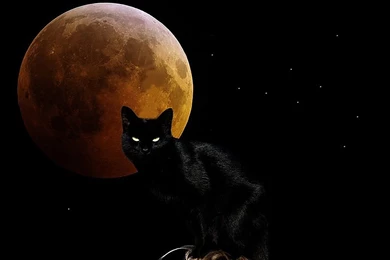 3092 CGI HD Wallpapers