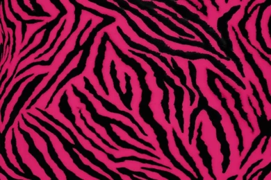 1700x1000px Black And Pink Zebra Print Wallpapers