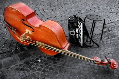 Cello Widescreen Wallpapers