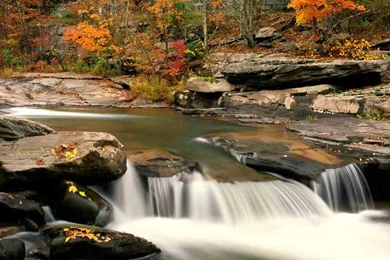 Free Autumn Desktop Backgrounds Wallpapers   3   Pelfind