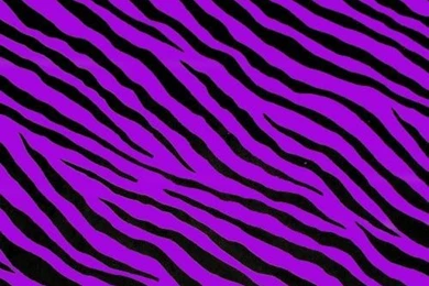 Gallery For   Purple And Black Zebra Print Wallpapers