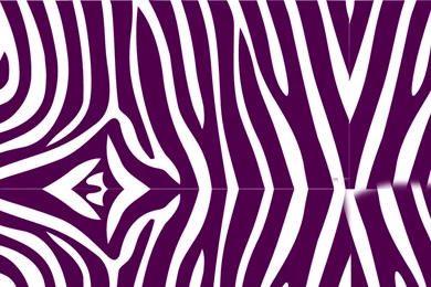 Zebra Print Wallpapers   173764