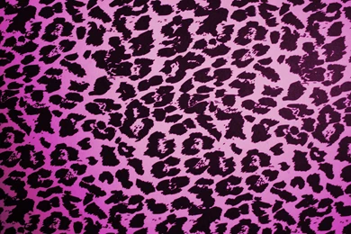 Desktop Hd Black And Pink Zebra Print Wallpapers 3d Hd Pictures.