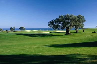 Golf Course Wallpapers   108589