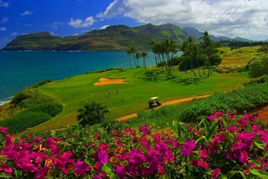 15 Golf Course HD Wallpapers
