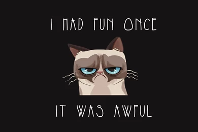 Gallery For   Funny Cat Wallpapers With Quotes