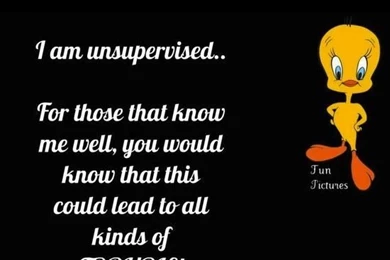 Tweety Sayings Wallpapers – Funny Pictures, Awesome Pictures, Funny ...