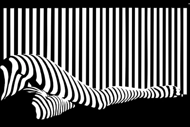 Barcode Legs Wallpapers   Vector Wallpapers