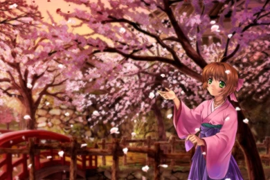 Cardcaptor Sakura Kinomoto Sakura Wallpapers   (
